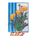 Blue Striped Persian Buttercup