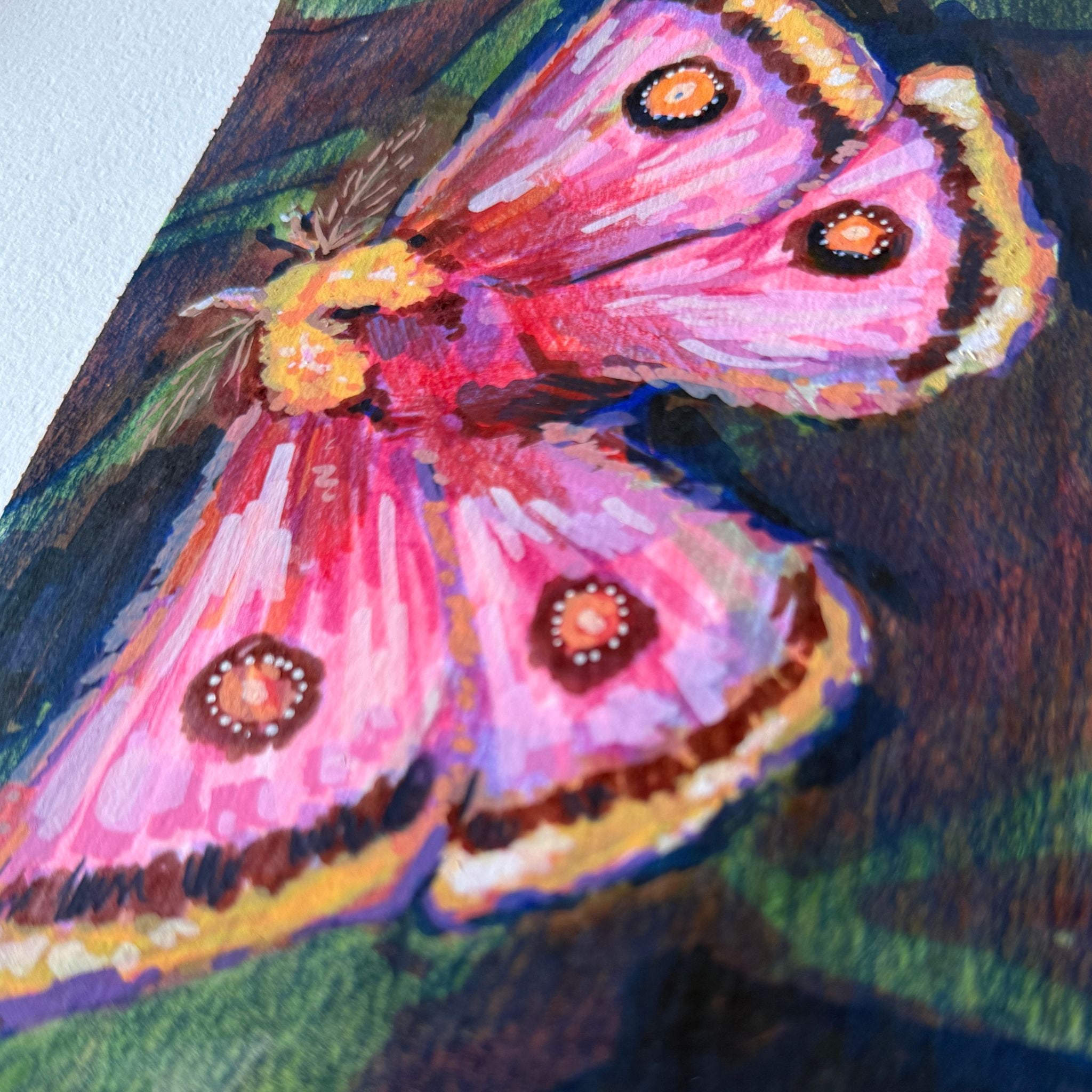 Pretty Pink Moth
