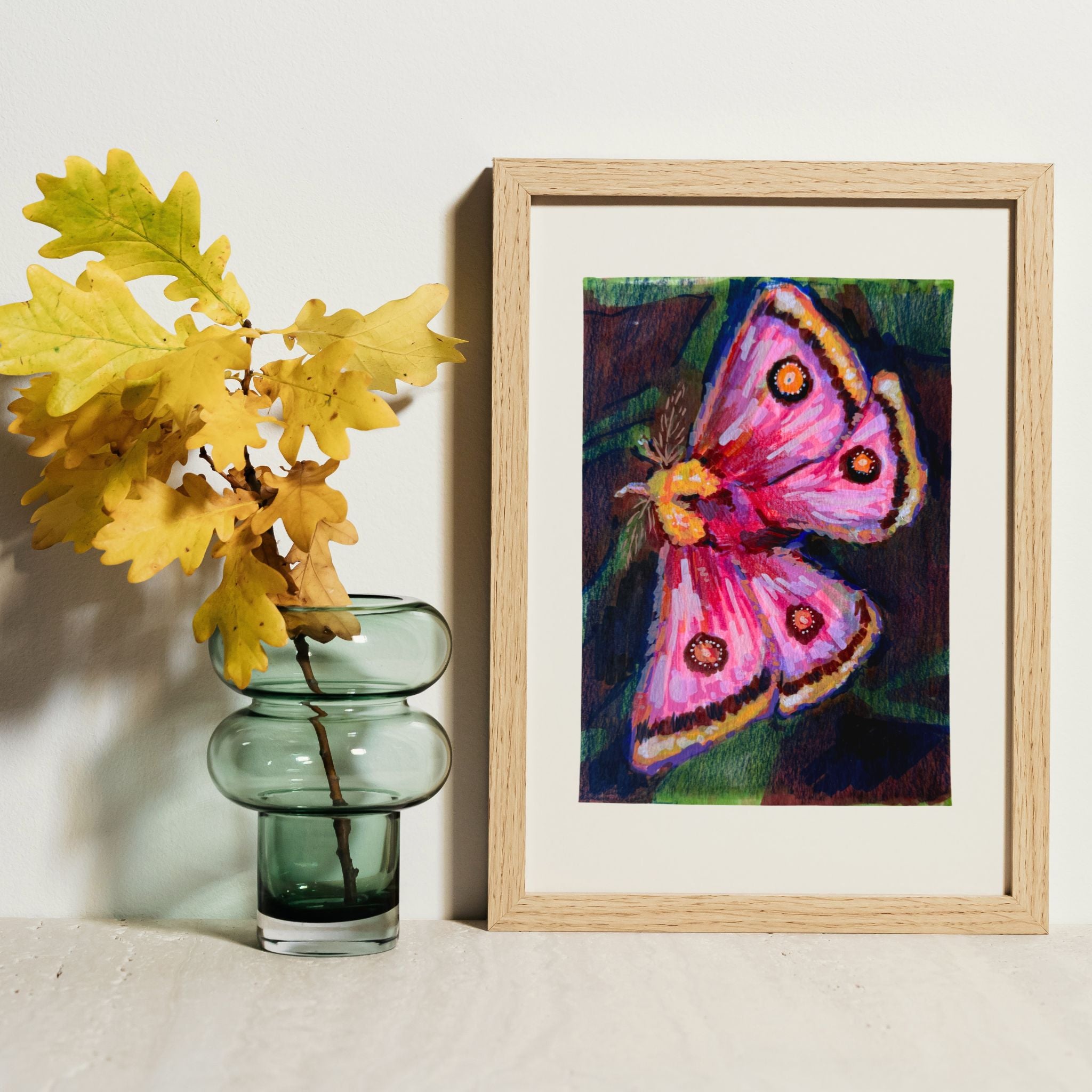 Pretty Pink Moth