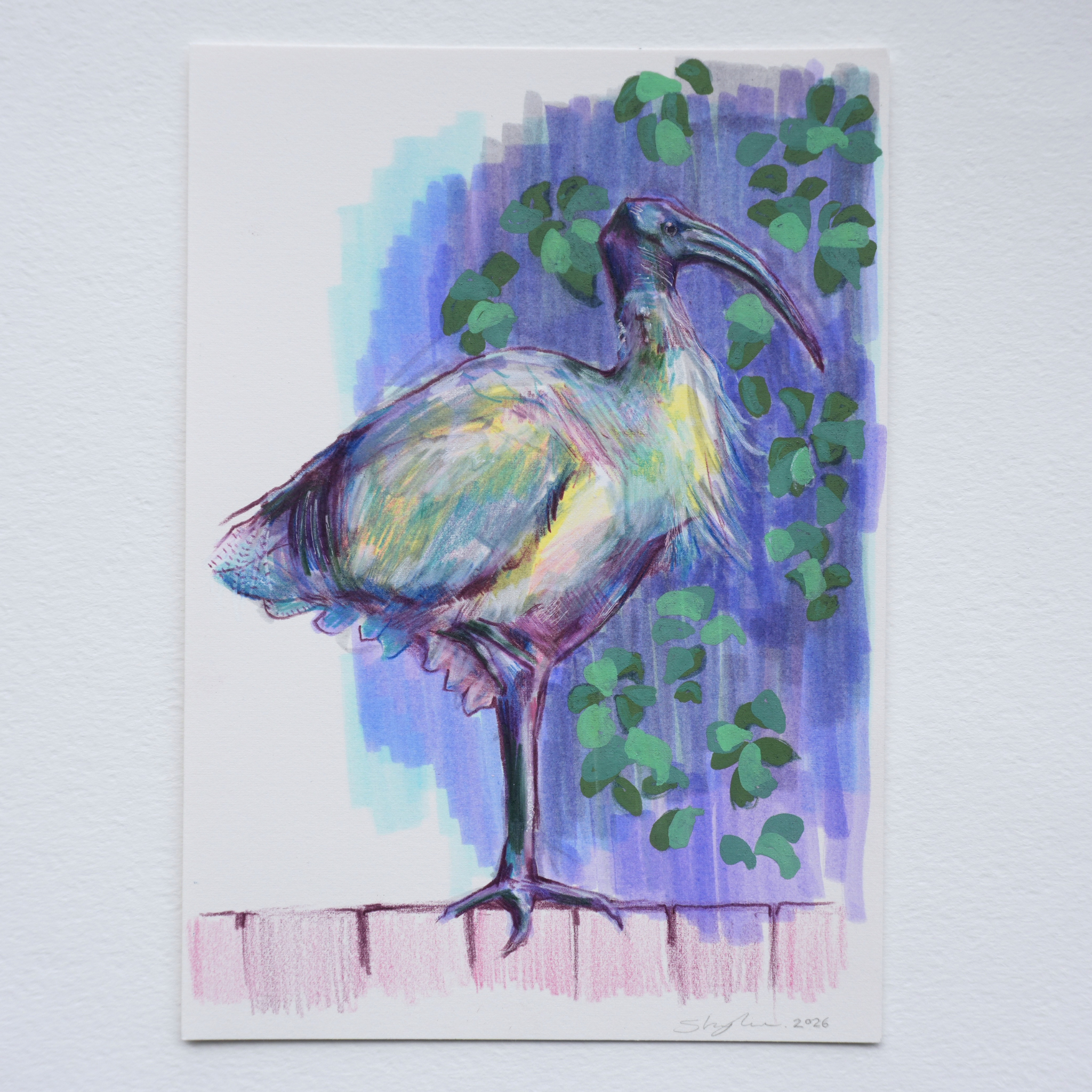 Bin Chicken [study]